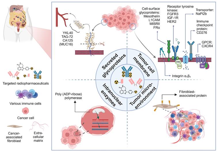 Theranostics Image