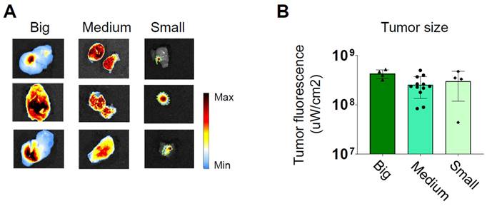 Theranostics Image