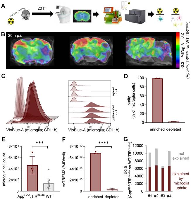 Theranostics Image