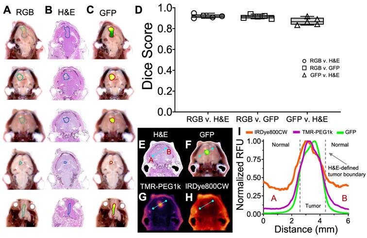 Theranostics Image