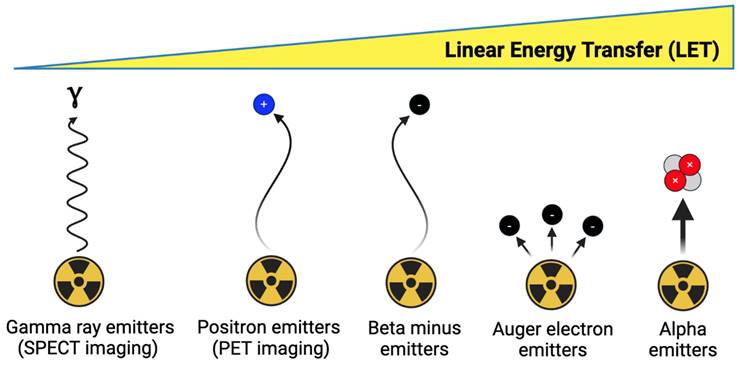 Theranostics Image