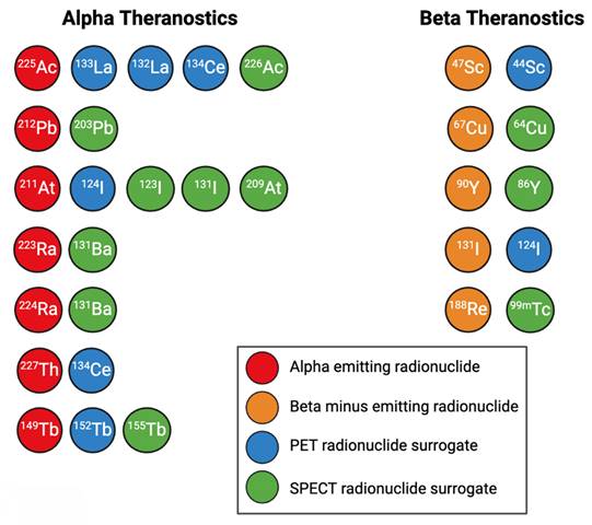 Theranostics Image