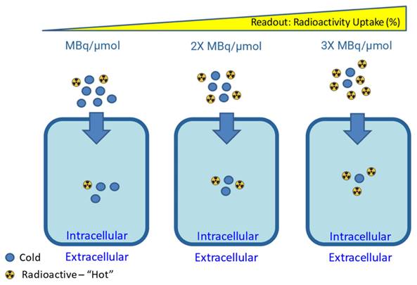 Theranostics Image