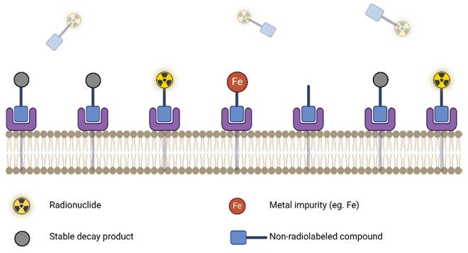 Theranostics Image