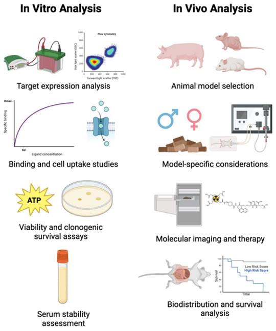 Theranostics Image