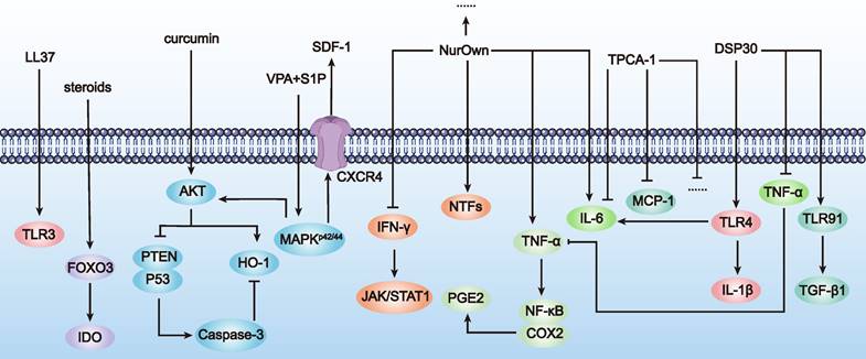 Theranostics Image