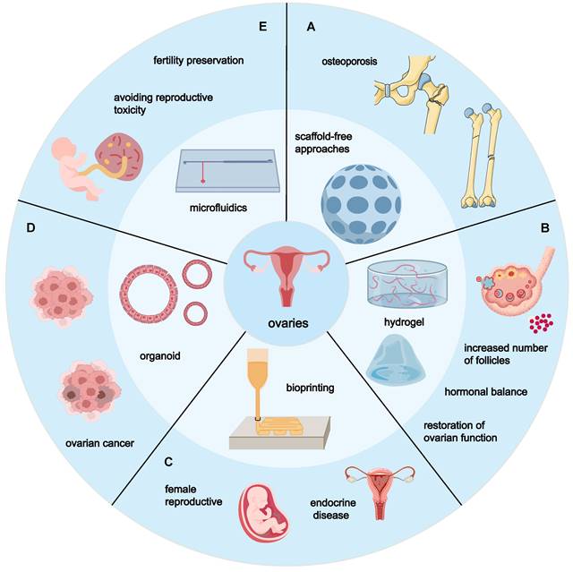 Theranostics Image