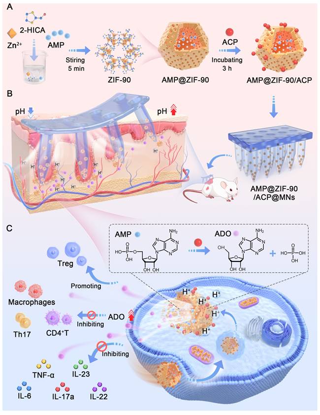 Theranostics Image