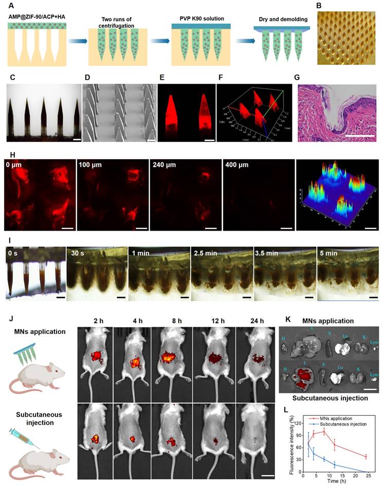 Theranostics Image