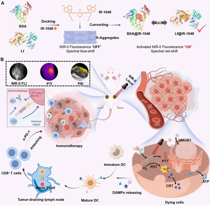 Theranostics Image