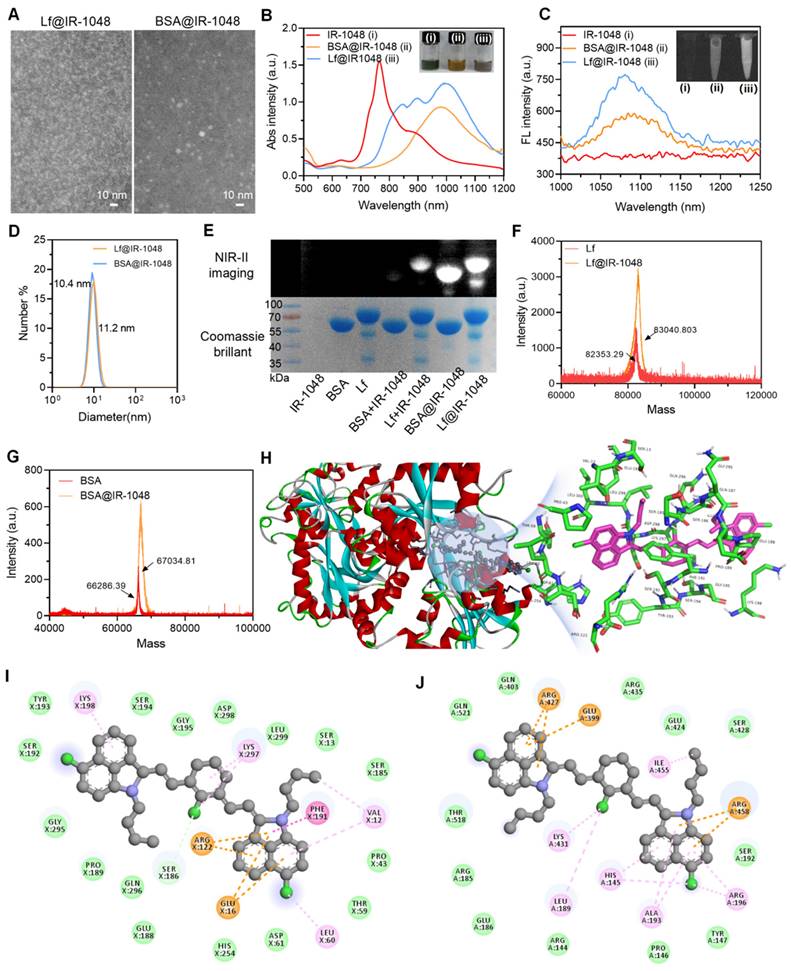 Theranostics Image