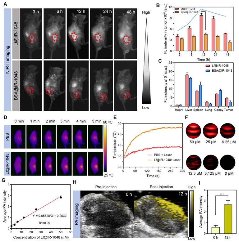 Theranostics Image