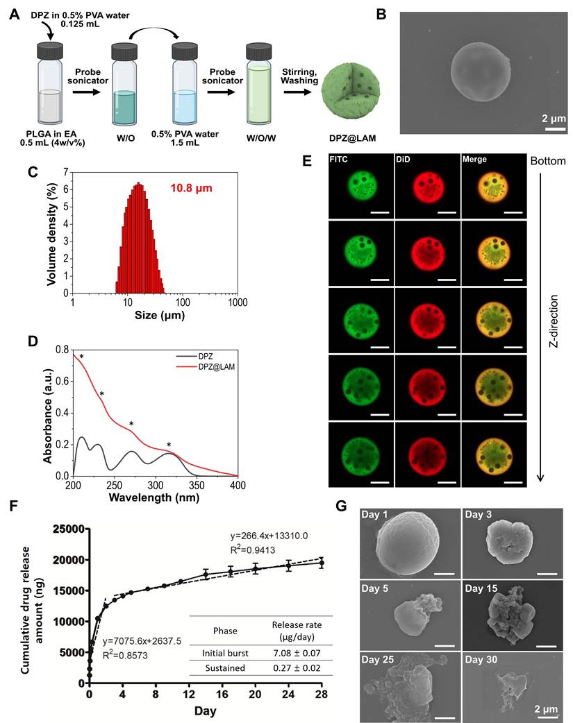 Theranostics Image