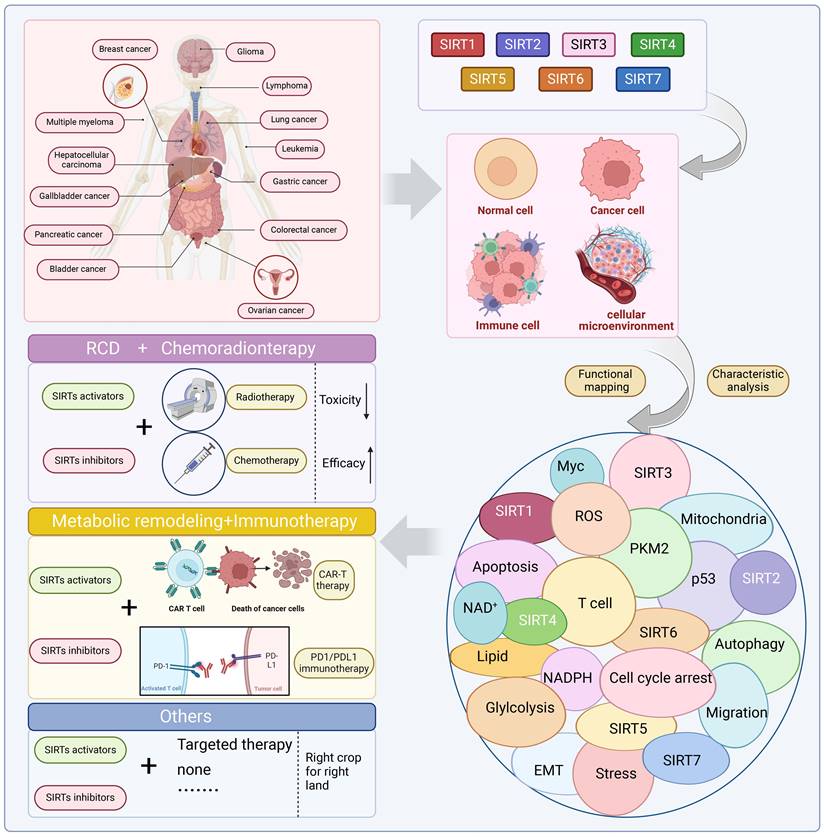 Theranostics Image