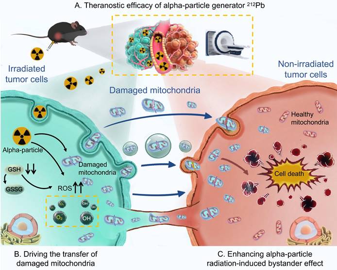 Theranostics Image