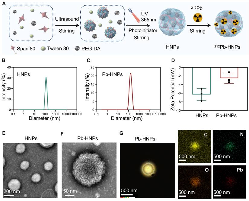 Theranostics Image