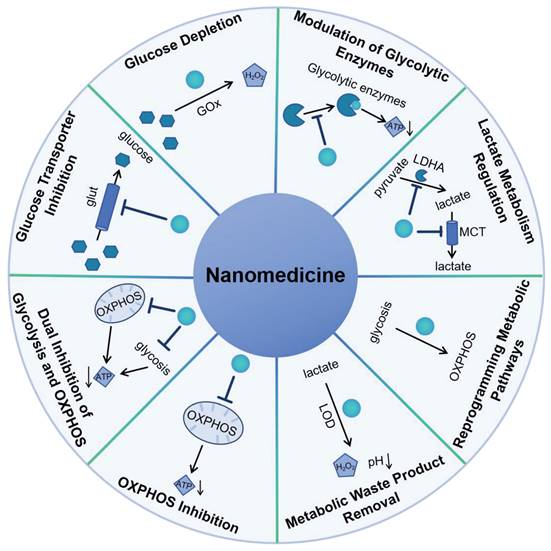 Theranostics Image