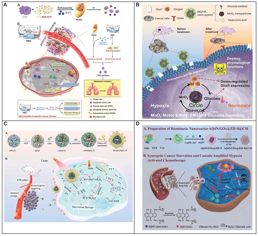 Theranostics Image