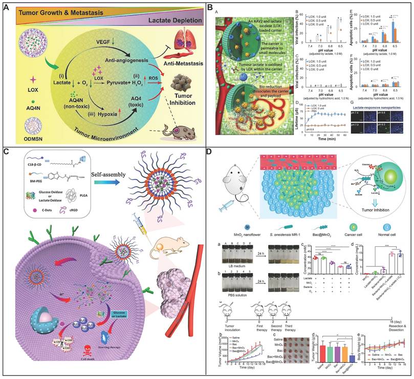 Theranostics Image