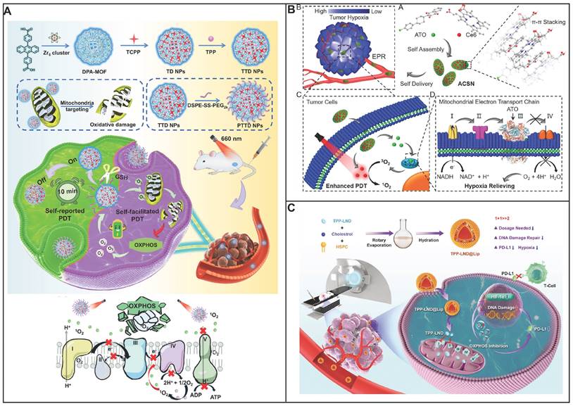 Theranostics Image