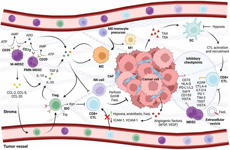 Theranostics Image