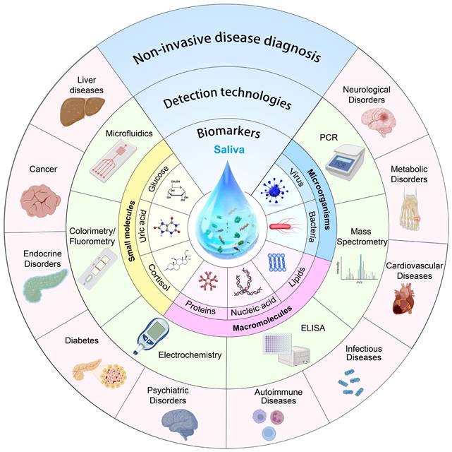 Theranostics Image