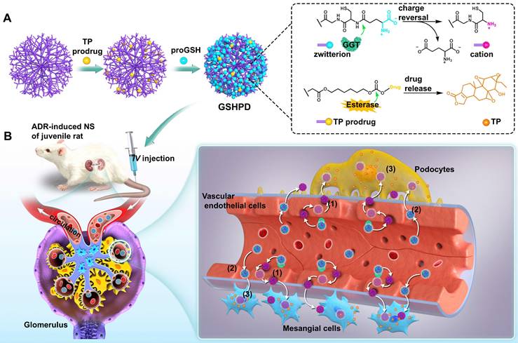 Theranostics Image