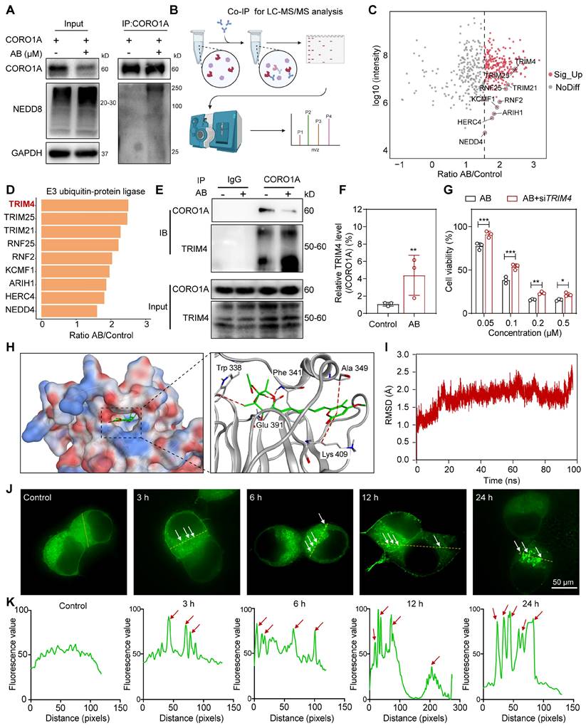 Theranostics Image