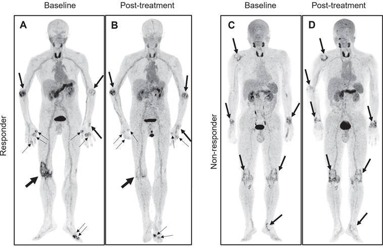 Theranostics Image