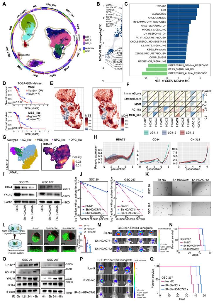 Theranostics Image