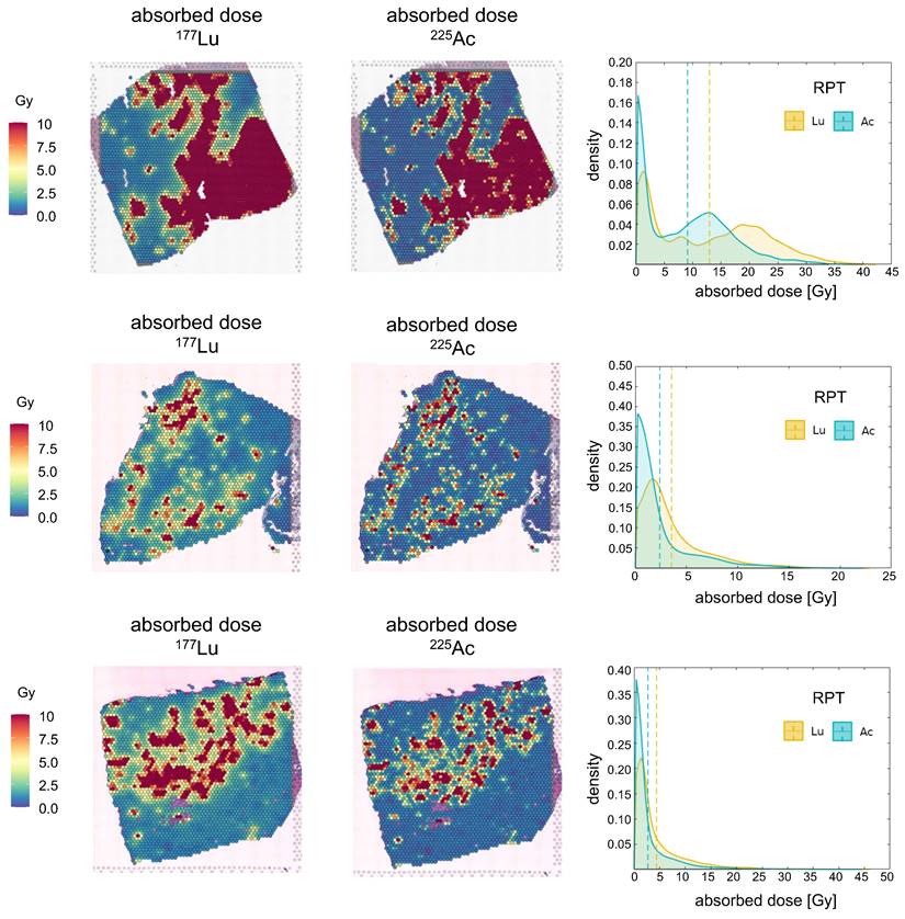 Theranostics Image