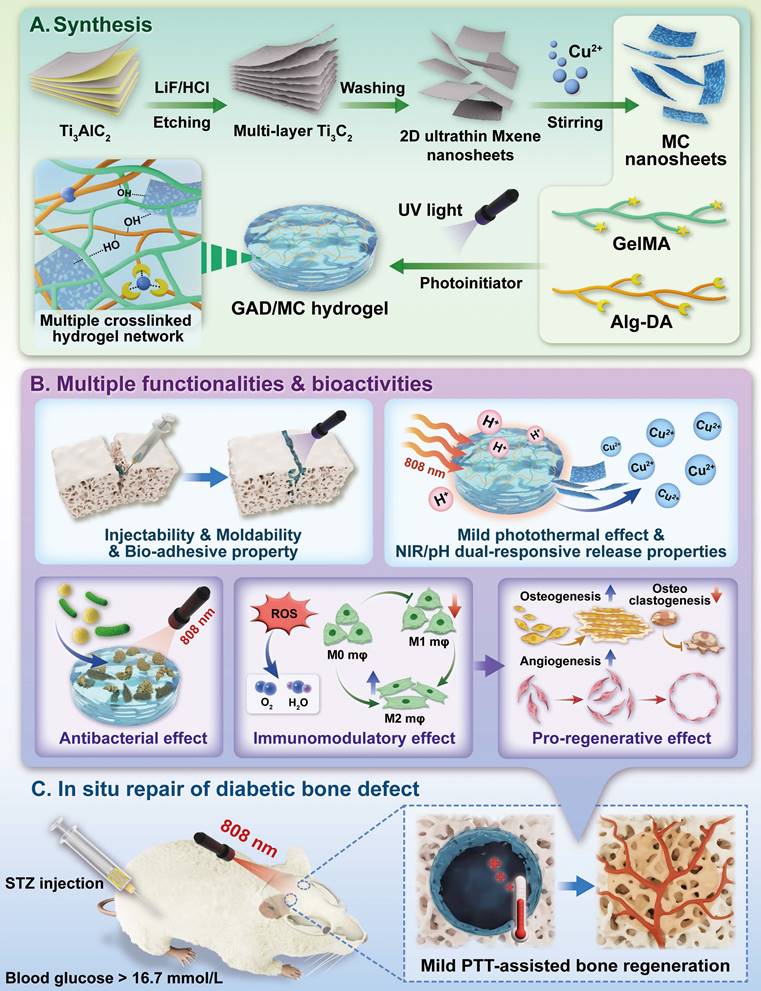 Theranostics Image