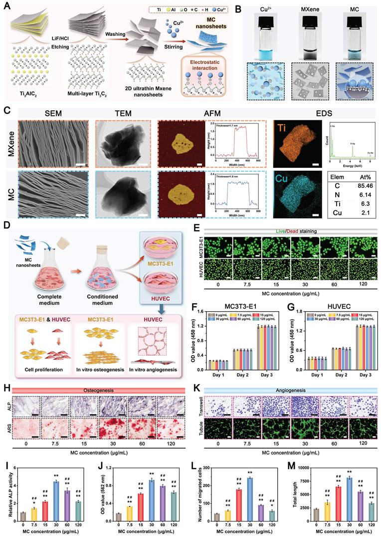 Theranostics Image