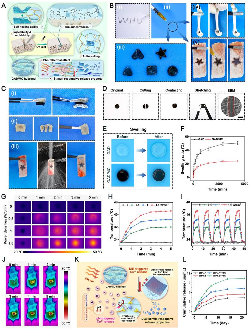 Theranostics Image