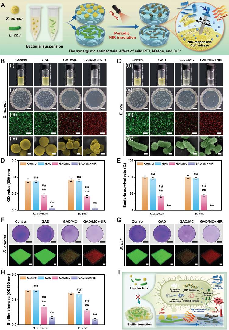 Theranostics Image