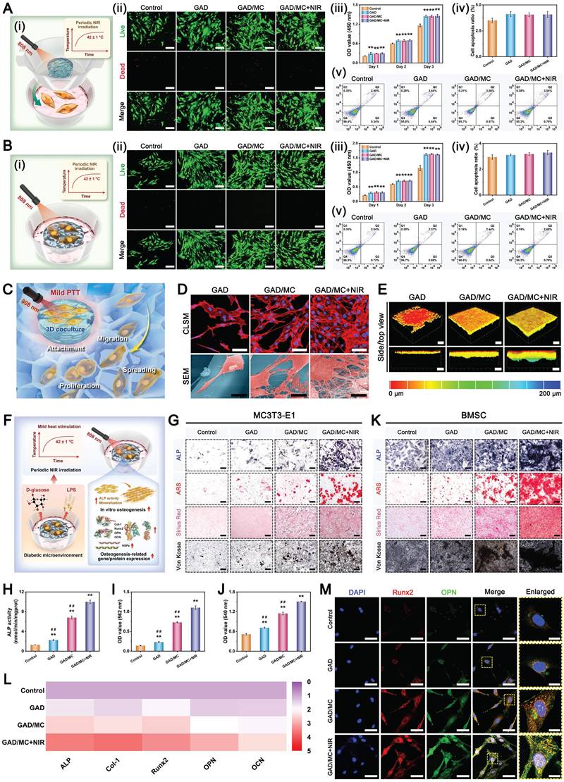 Theranostics Image