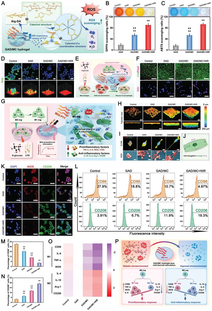 Theranostics Image