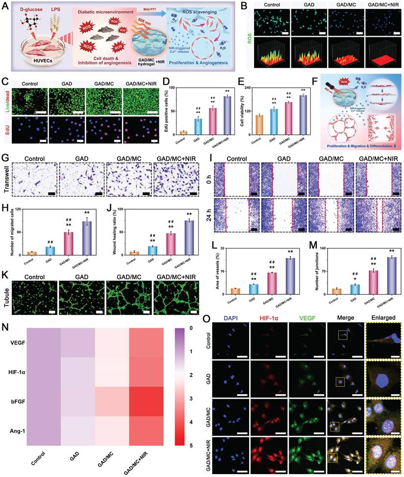 Theranostics Image