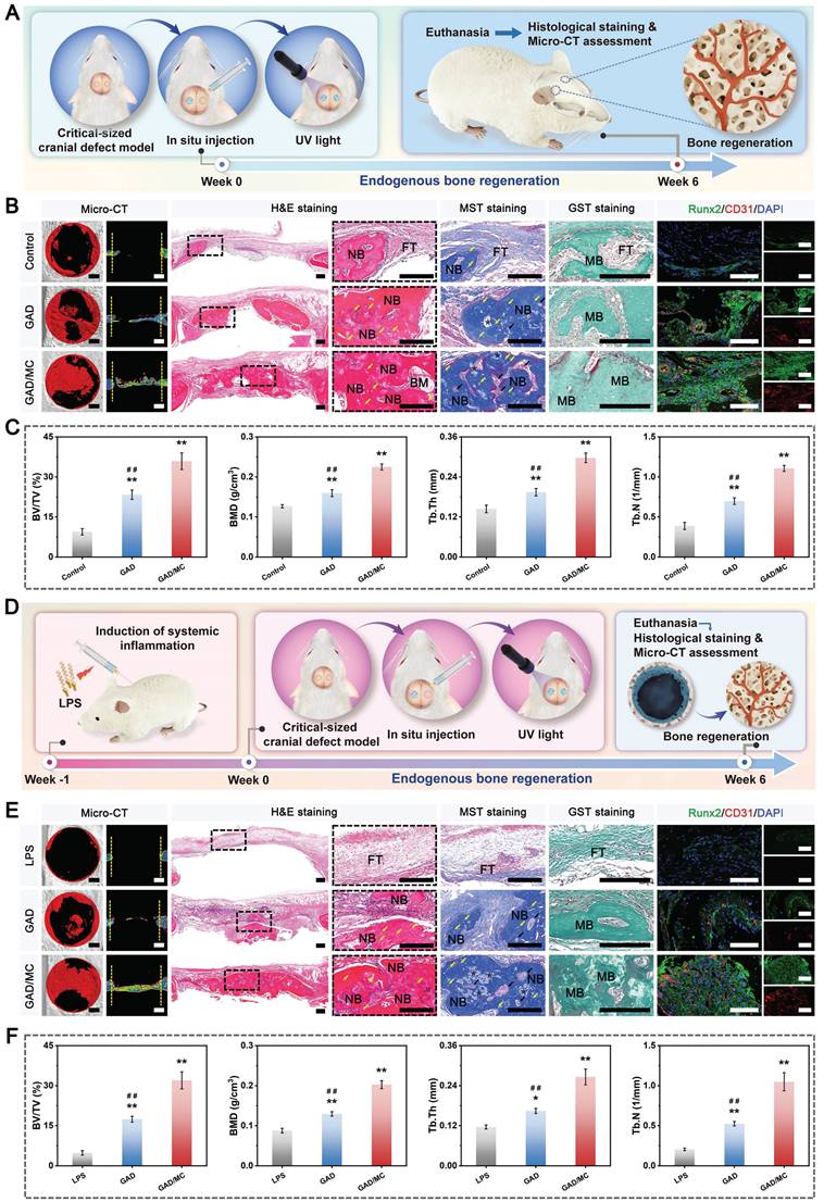 Theranostics Image