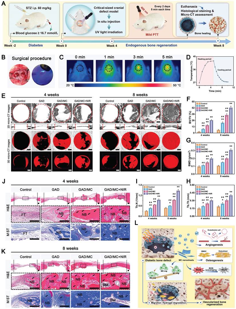 Theranostics Image