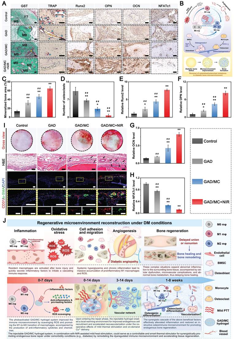 Theranostics Image