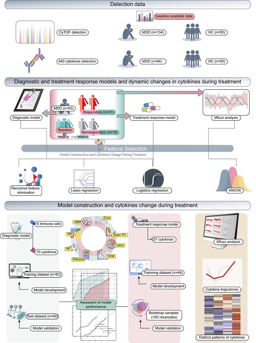 Theranostics Image