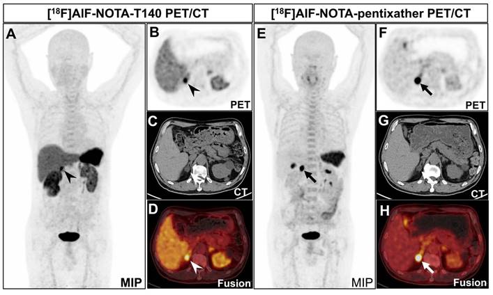 Theranostics Image