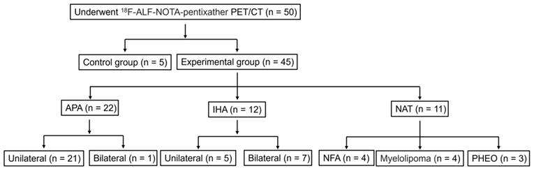 Theranostics Image