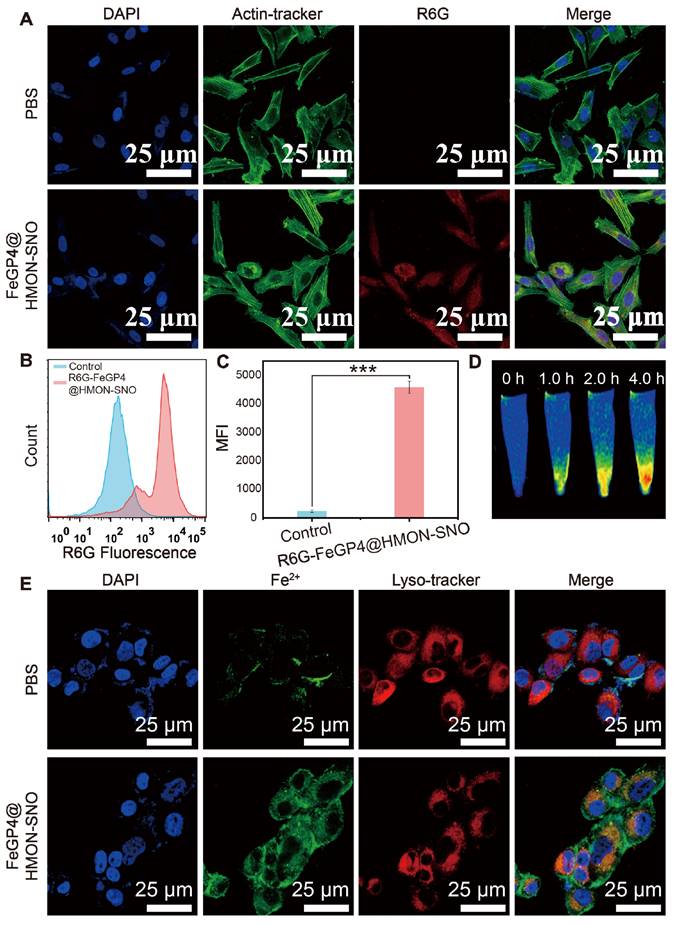 Theranostics Image