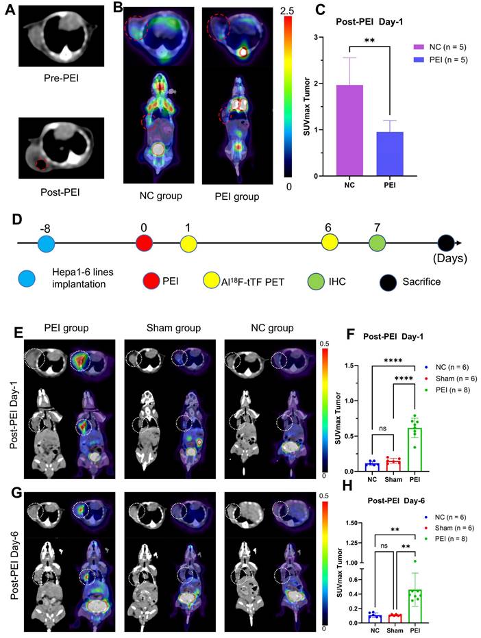 Theranostics Image