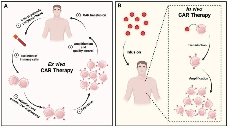 Theranostics Image