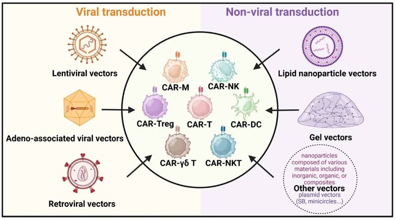 Theranostics Image