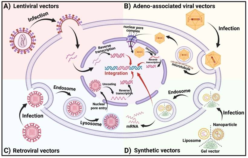 Theranostics Image