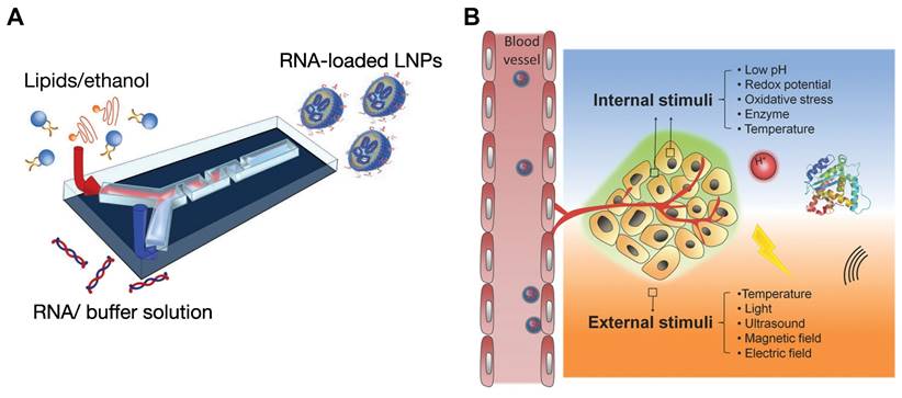 Theranostics Image